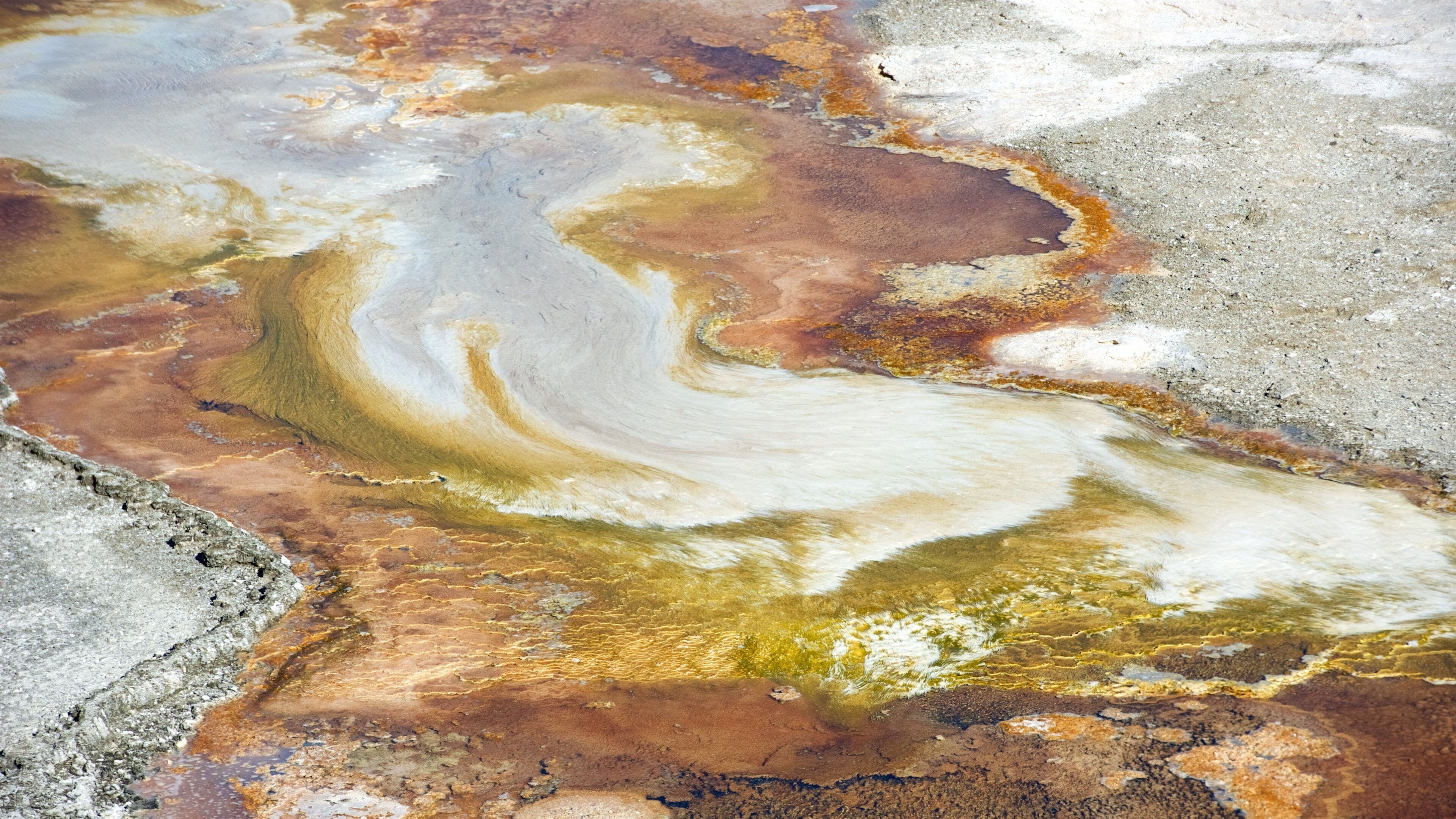 Mammoth Hot Springs showing a hot spring
