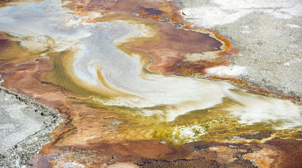 Mammoth Hot Springs showing a hot spring