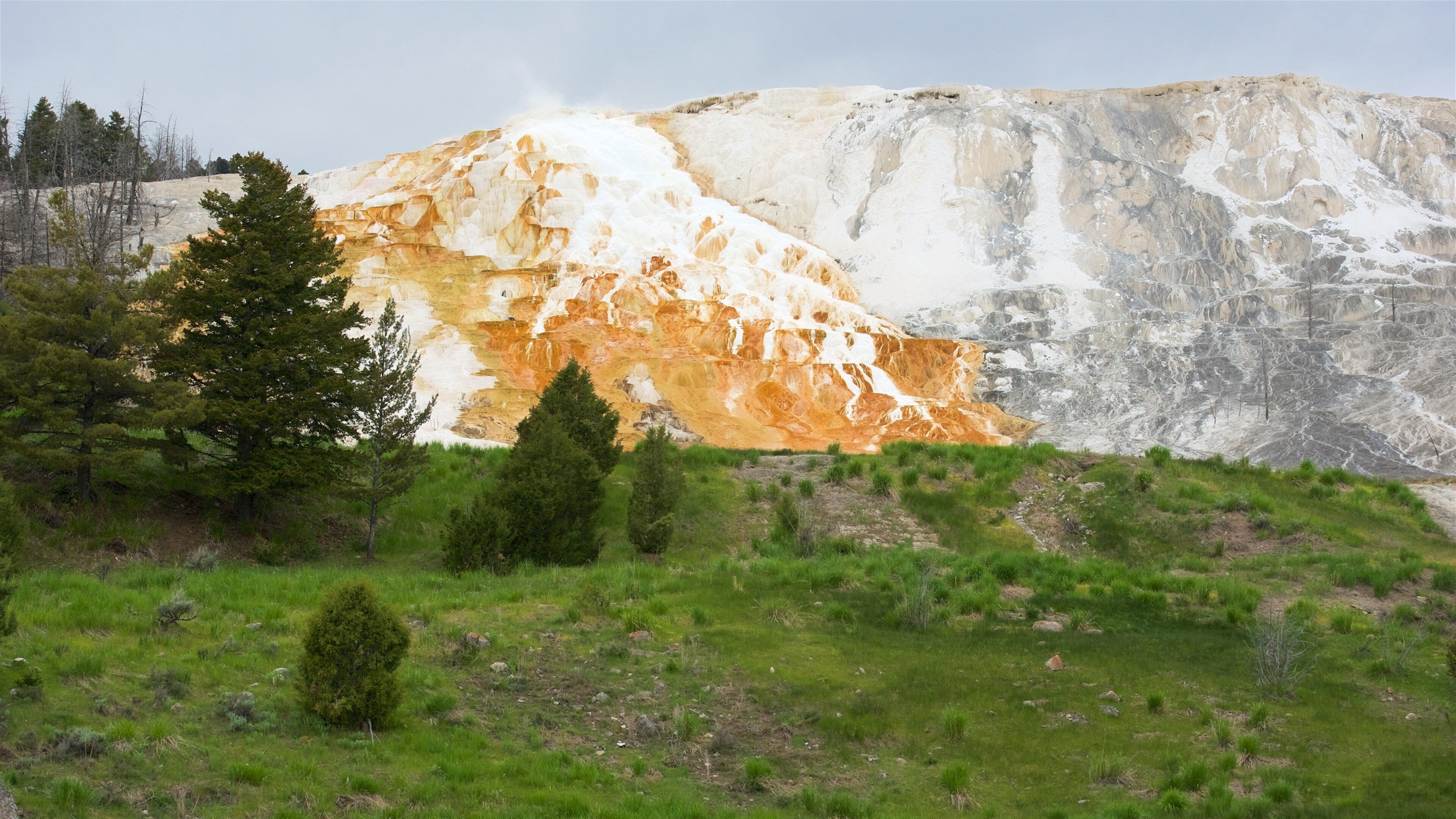Mammoth Hot Springs