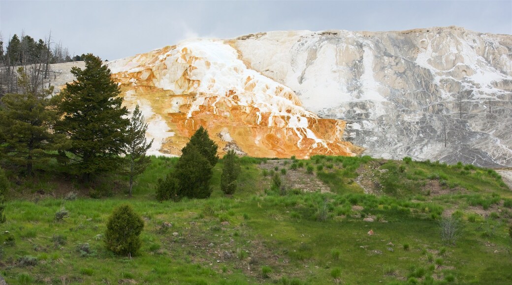 Mammoth Hot Springs