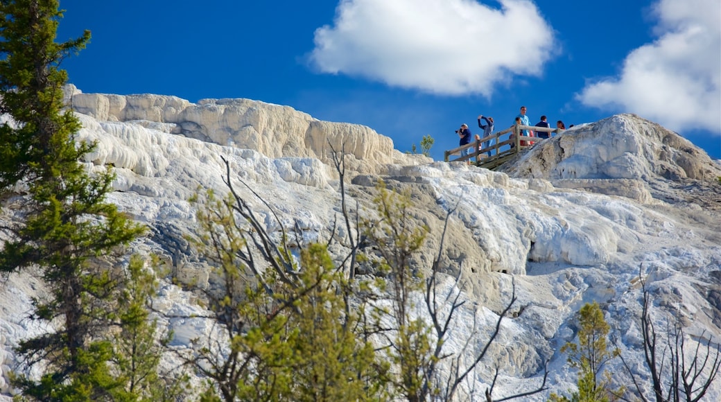 Mammoth Hot Springs