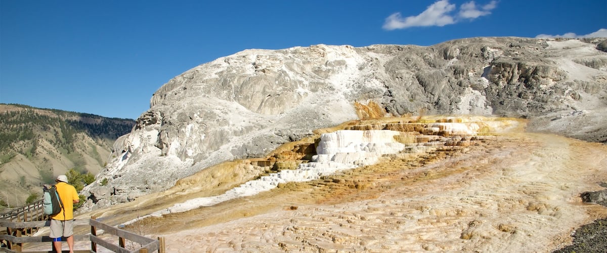 Mammoth Hot Springs