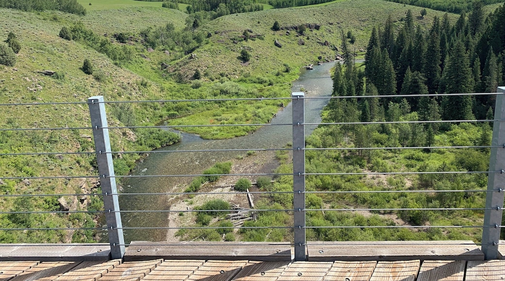 Really cool bridge on the Ashton-Tetonia Trail at Idaho State Park. Made for a great ride today.