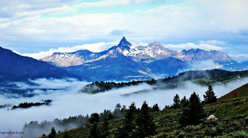 Hwy between Cooke City Mt and Red Lodge Mt summer - early morning
#TroverDetour