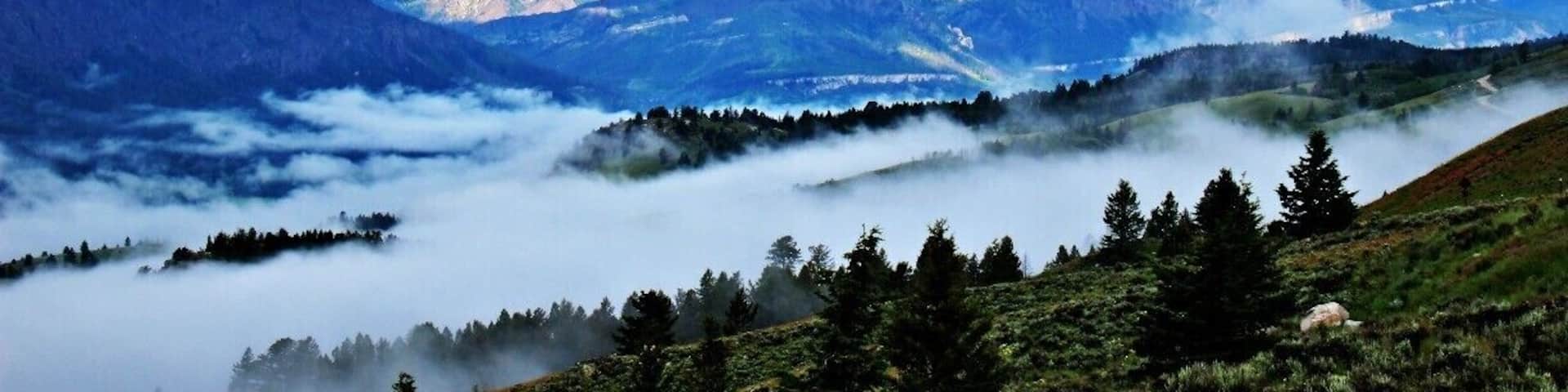 Hwy between Cooke City Mt and Red Lodge Mt summer - early morning
#TroverDetour