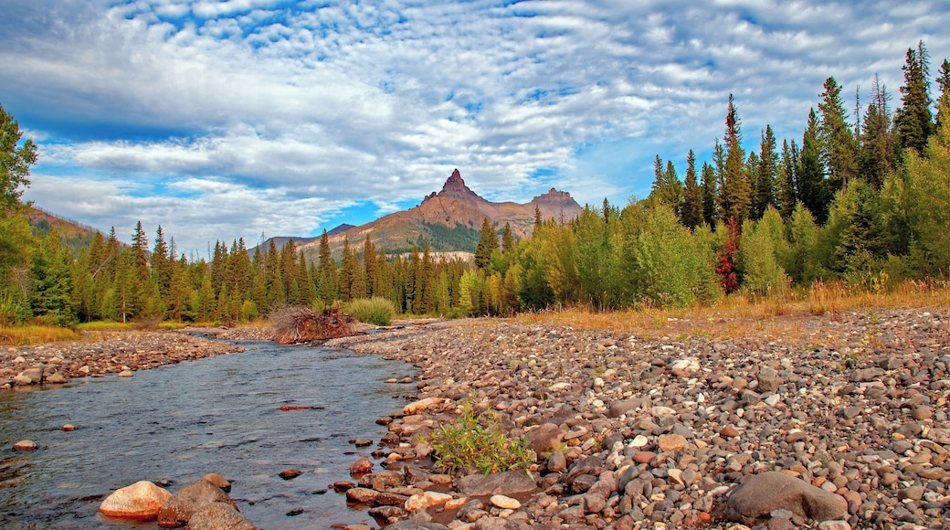 The view along Soda Butte Creek toward the Beartooth is impressive. Many photo opportunities along the Beartooth Highway (212).
#beartooth_highway
#nature
#adventure
#mountain
#mountain_and_river
#sky