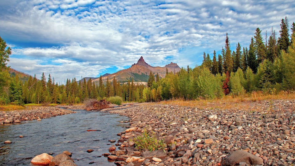 A river with a rocky shoreline, surrounded by dense forest and a mountain in the background.