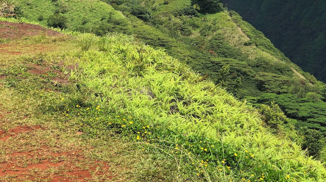 On top of the edge of Tahiti!