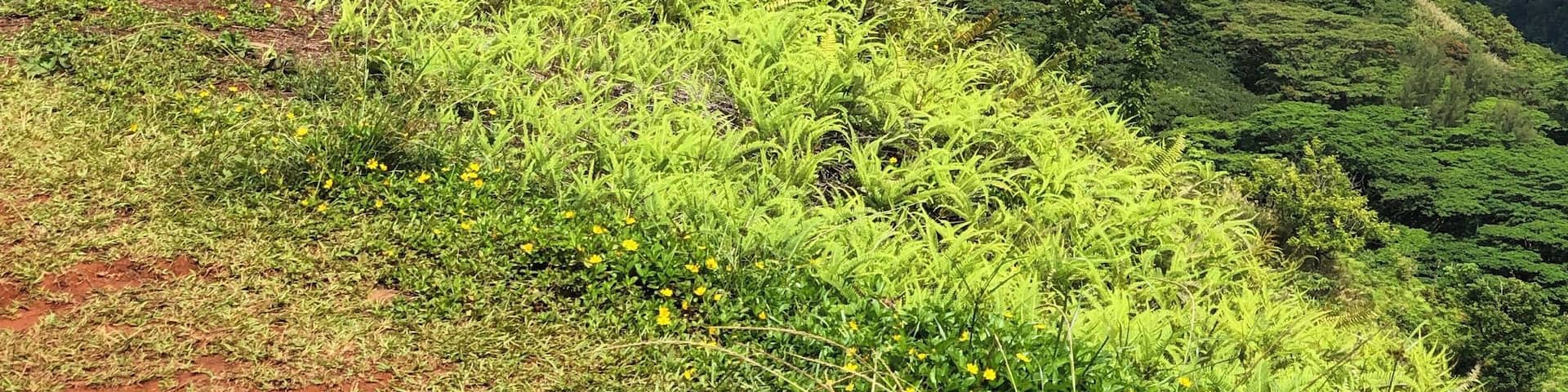 On top of the edge of Tahiti!