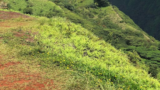 On top of the edge of Tahiti!