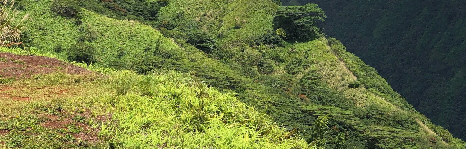 On top of the edge of Tahiti!