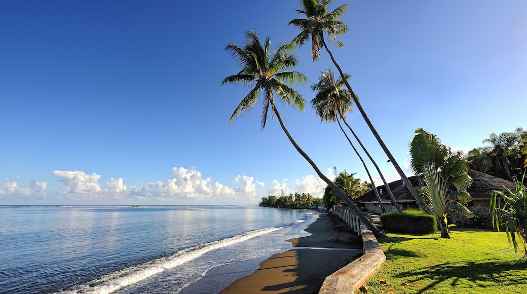 Black sand beach, Pirae, Tahiti island, French Polynesia