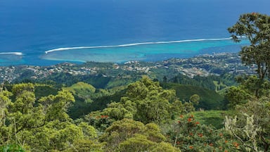 A coastal town with a beach, surrounded by lush green hills and a clear blue sea.