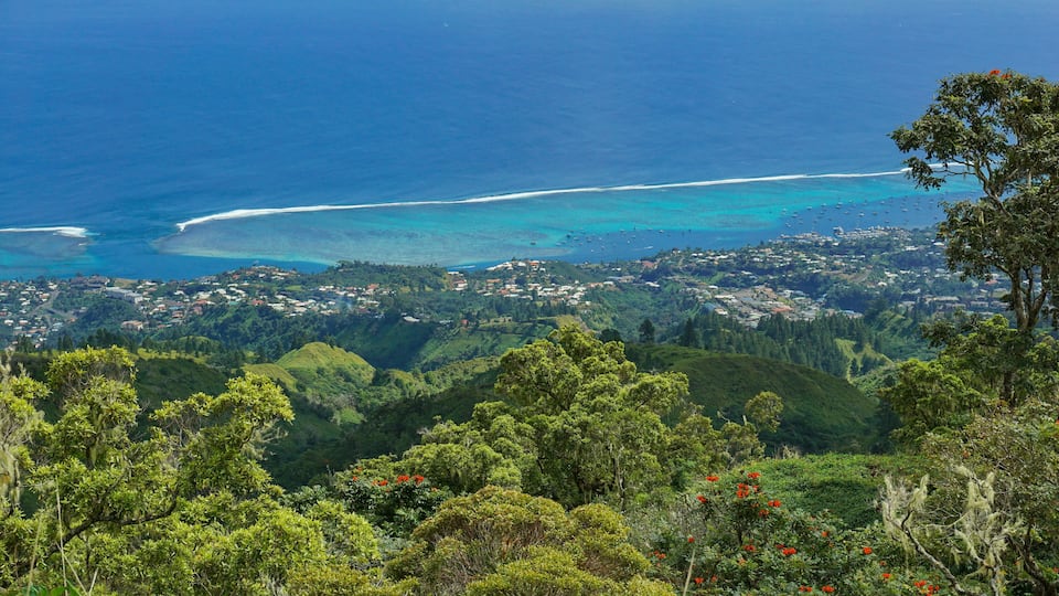 A coastal town with a beach, surrounded by lush green hills and a clear blue sea.