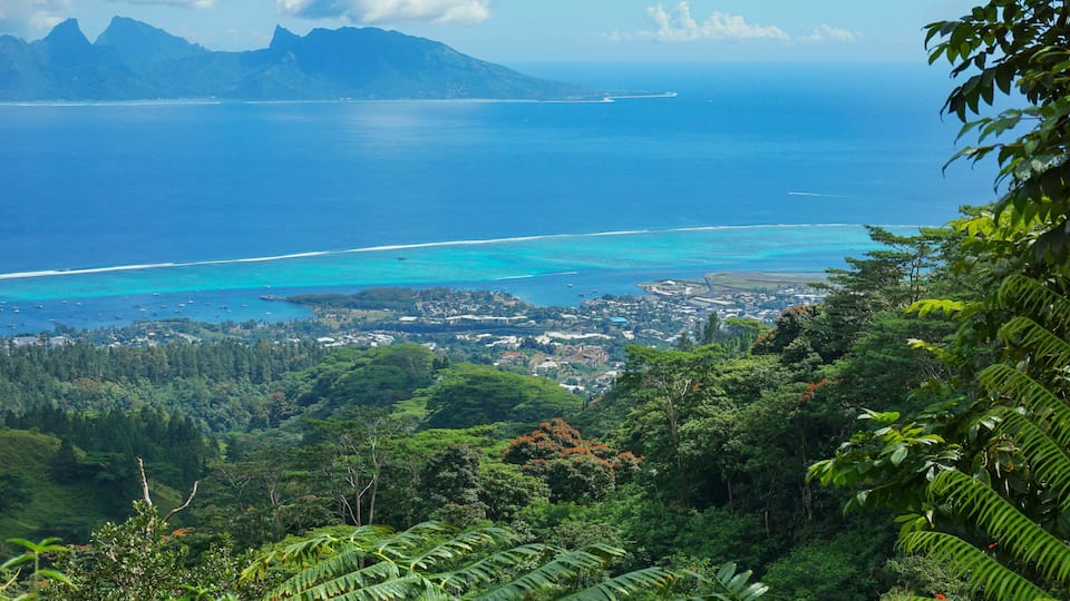 A coastal landscape with a view of the ocean, mountains, and dense greenery.