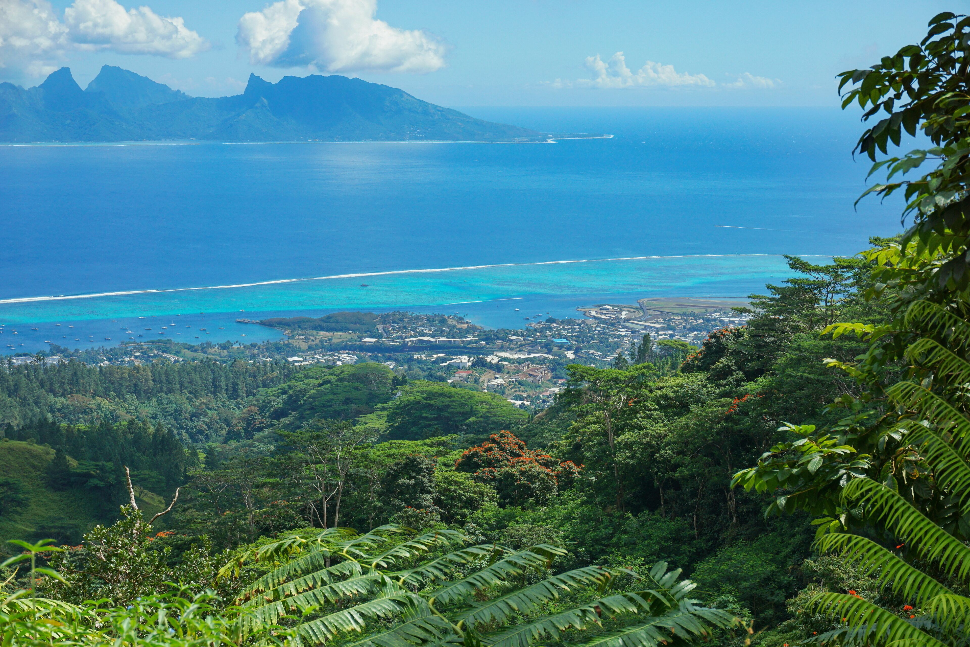 A coastal landscape with a view of the ocean, mountains, and dense greenery.