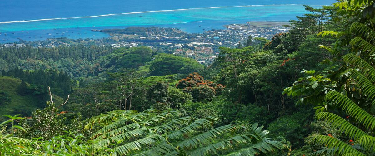 A coastal landscape with a view of the ocean, mountains, and dense greenery.