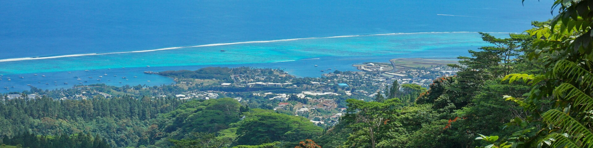 A coastal landscape with a view of the ocean, mountains, and dense greenery.