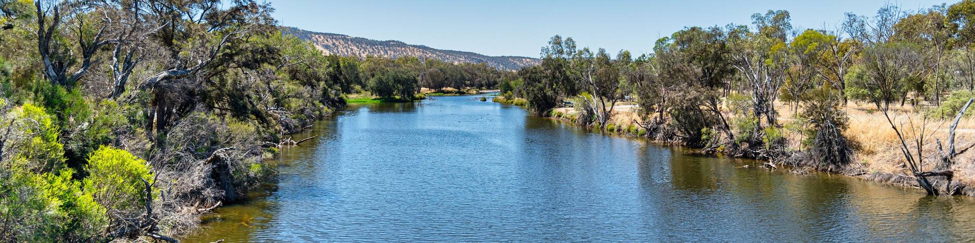 The Avon River is a tributary of the Swan River, the Avon flows 240 kilometres from source to mouth