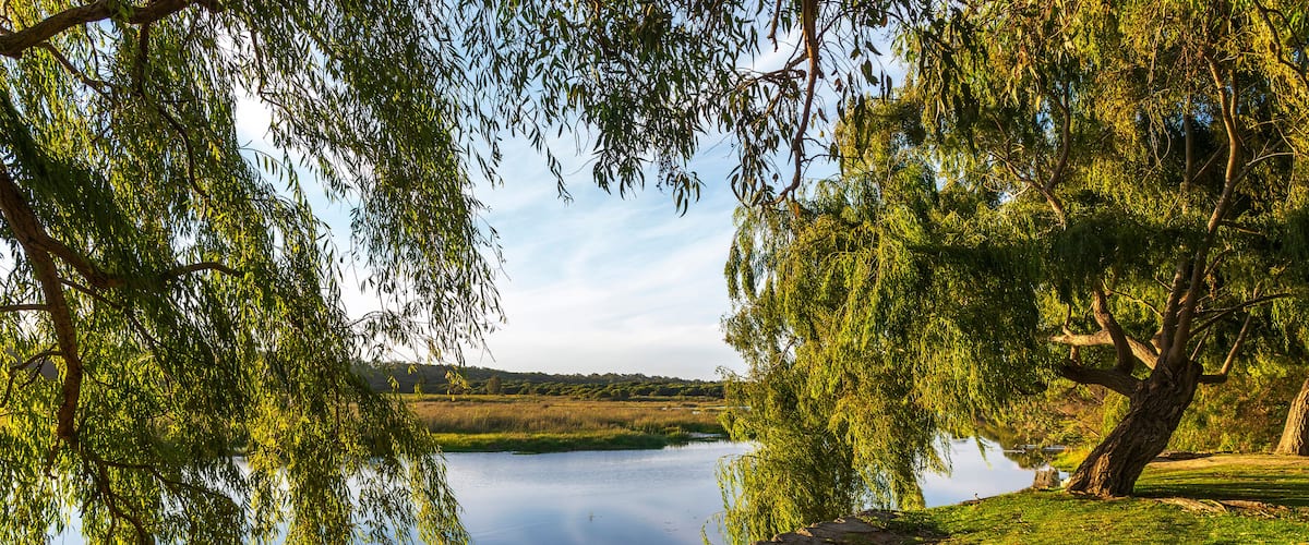 Loch McNess Lake in Yanchep National Park, City of Wanneroo, Perth, Western Australia