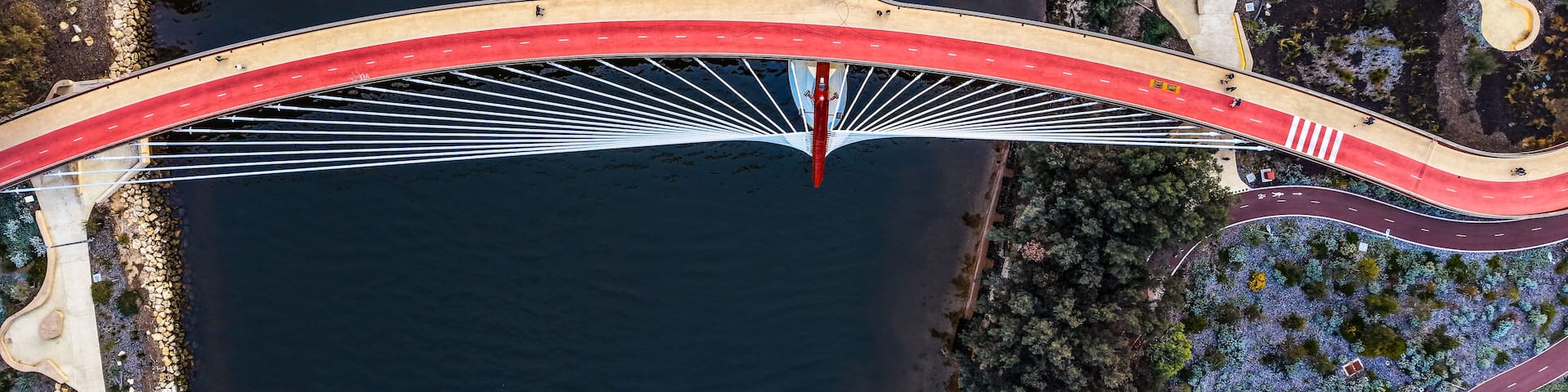 A cable-stayed bridge over a river with surrounding greenery and roads.