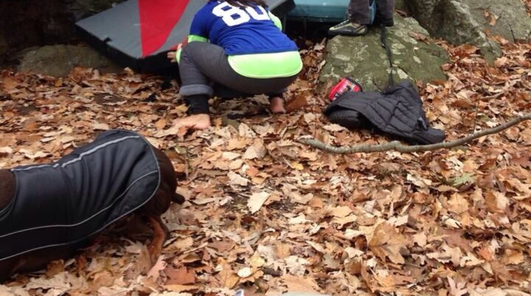 Blue Boulder located on the blue trailhead.
53 Park Ln Woodbridge CT 06525-2026 United States