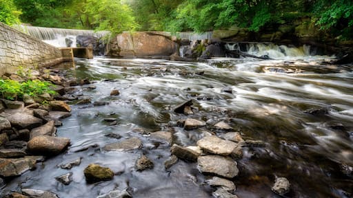 Hunts Mills Picnic and Recreation Area. It has a nice waterfall and trails for hiking. It also has a museum and the remnants of what was a turn of the century amusement park. Nice place for a walk.
