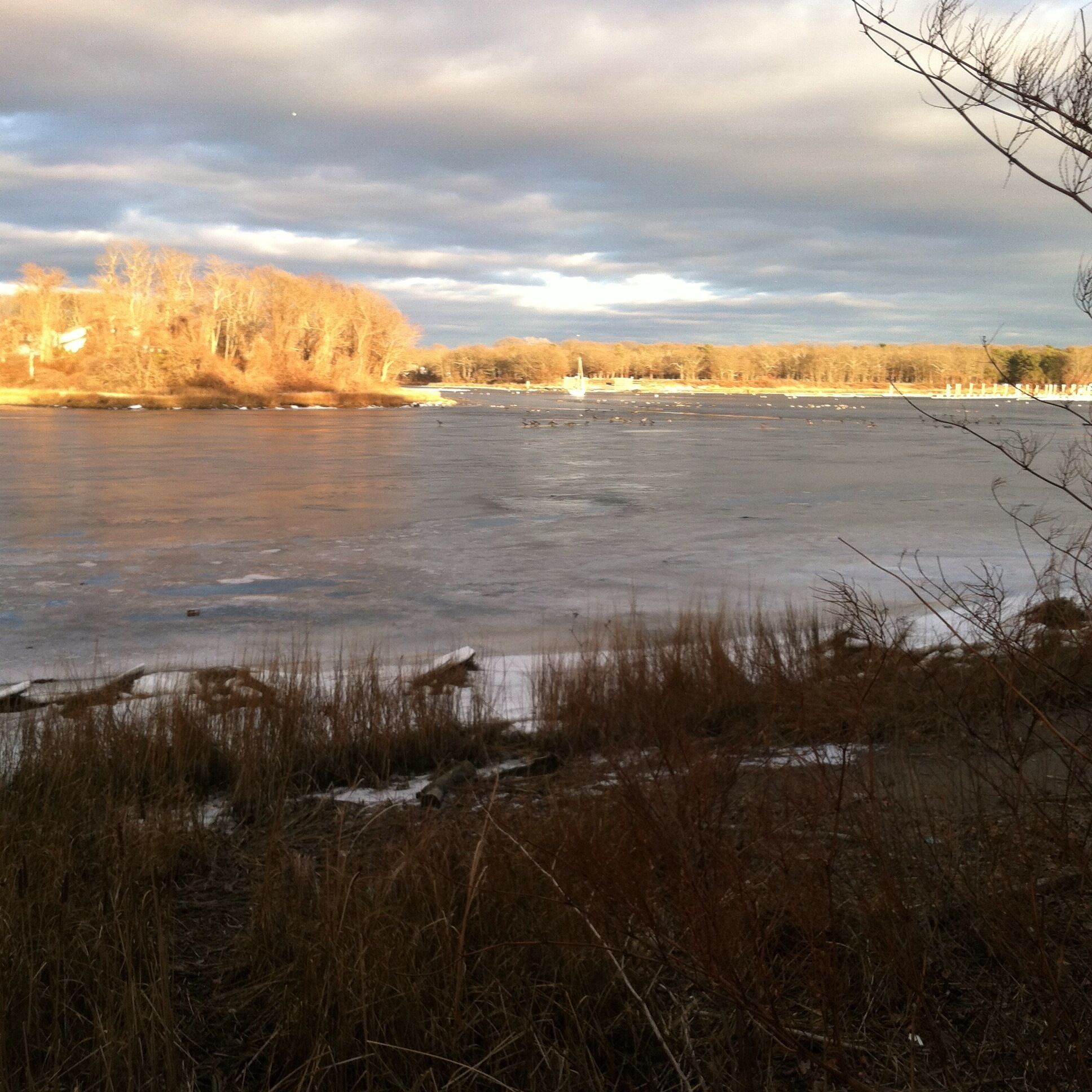 I mean, just look at it. 