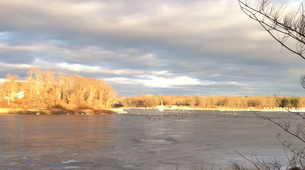 I mean, just look at it.