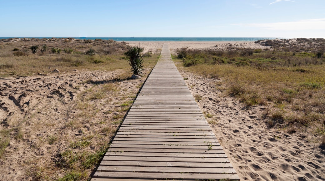 L'Hospitalet de Llobregat