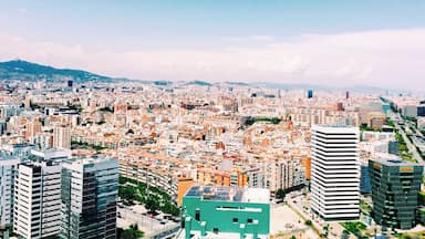 A cityscape with a mix of modern and traditional buildings, a prominent green structure, and a hilly background.