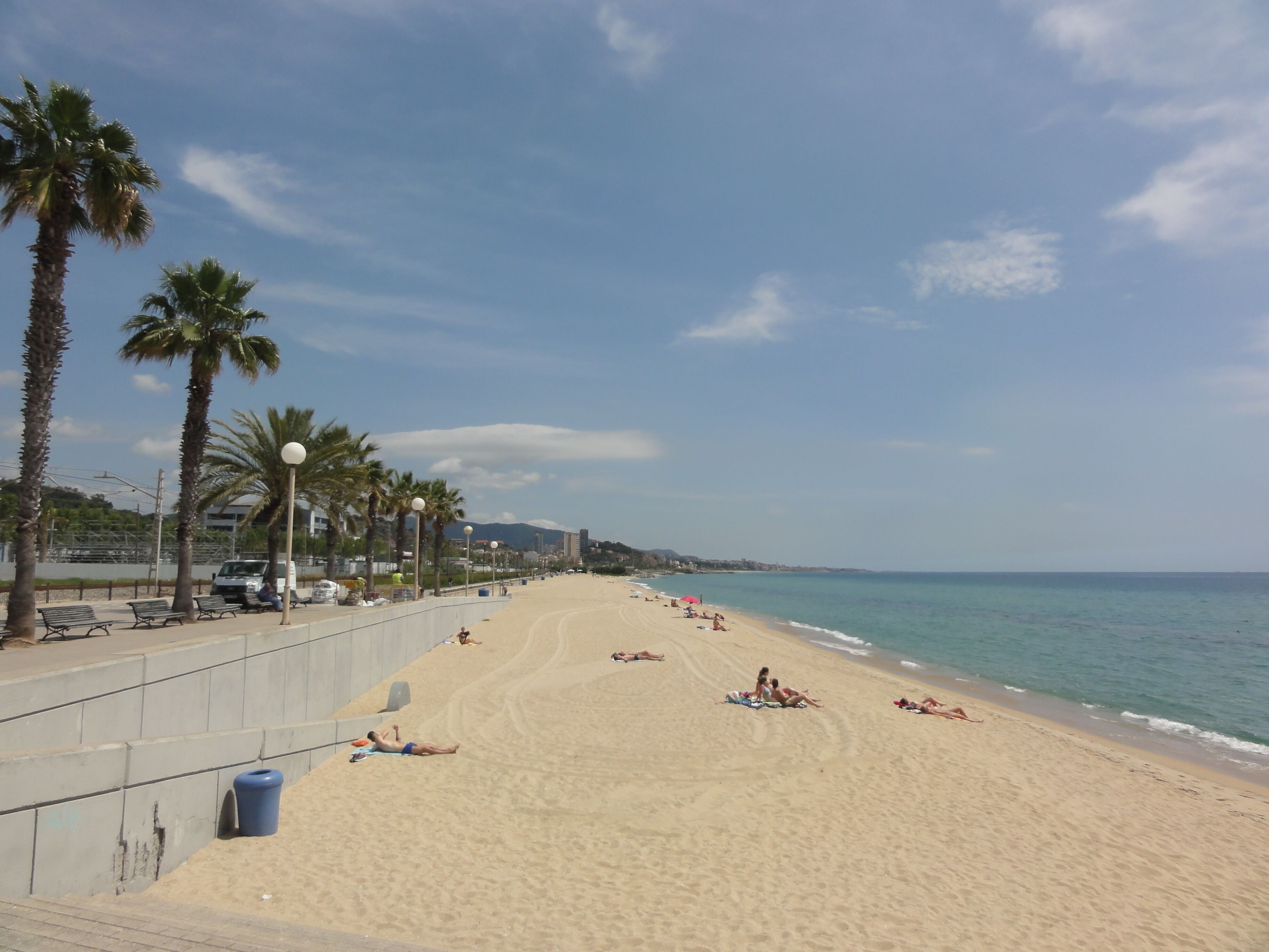 A beach with palm trees, a fence, and people sunbathing.
