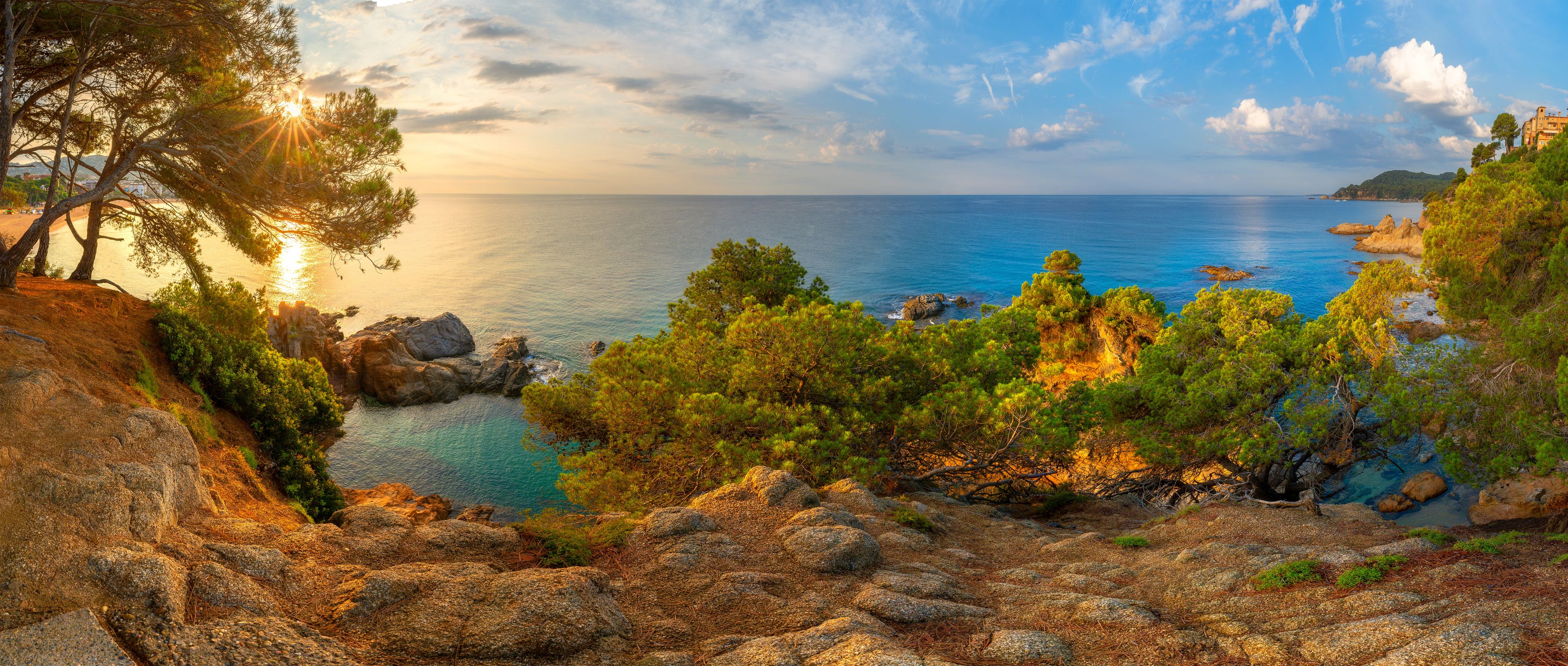 A coastal landscape with rocky terrain, pine trees, and a clear view of the sea.