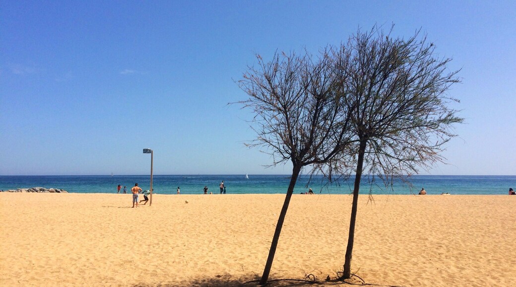 Barcelona has probably one of the best urban beaches in the whole world. While the most popular one, Barceloneta, is overcrowded and under par, it only takes a short train/metro ride to find out top-of-the-notch Mediterranean beaches.
Head to Badalona (15-min ride in purple line) for a taste of authentic summer feeling. If you are willing to go a bit farther take the Rodalies train. But do your best to escape from Barceloneta!