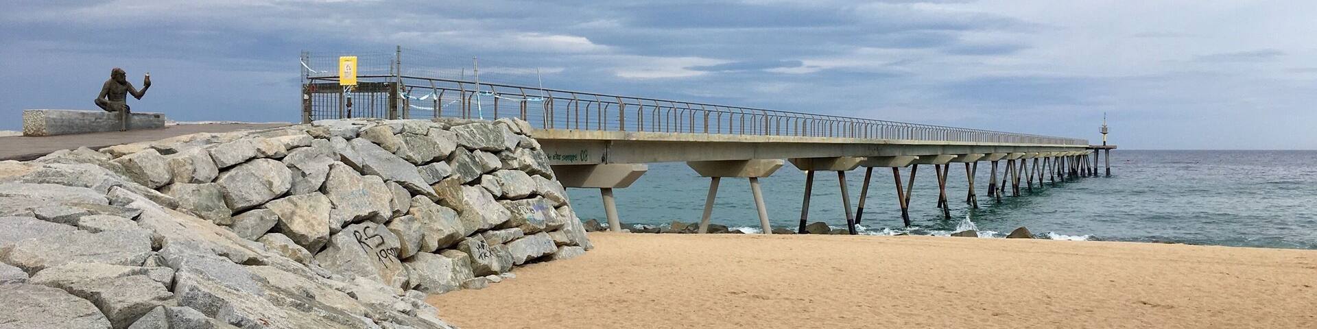 Platja del pont del petroli