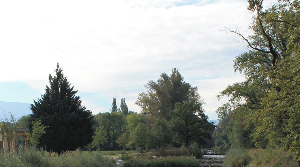 Geneva Countryside in Autumn