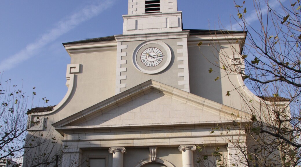 Carouge featuring heritage architecture
