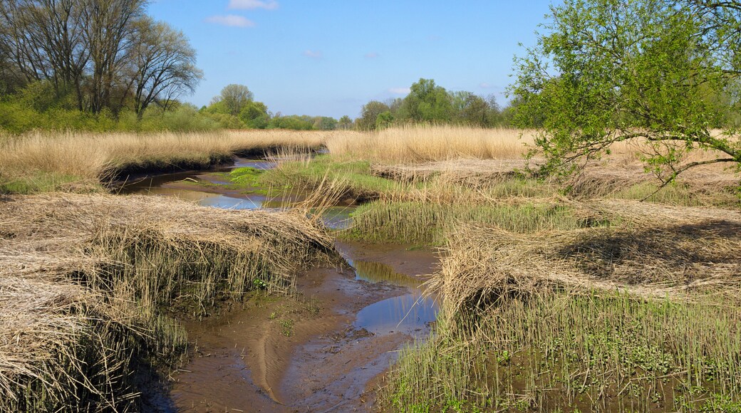 This is a picture of the protected area listed at WDPA under the ID