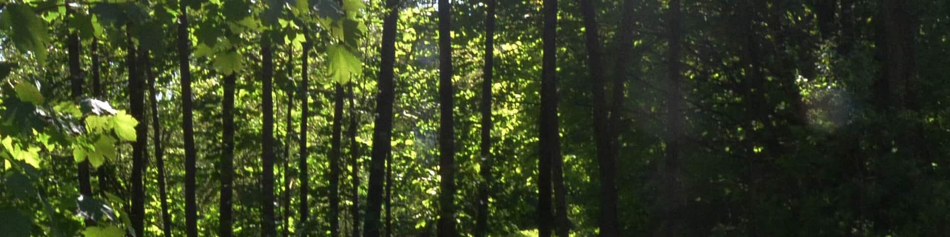 Landschaftsschutzgebiet Osdorf, Hamburg