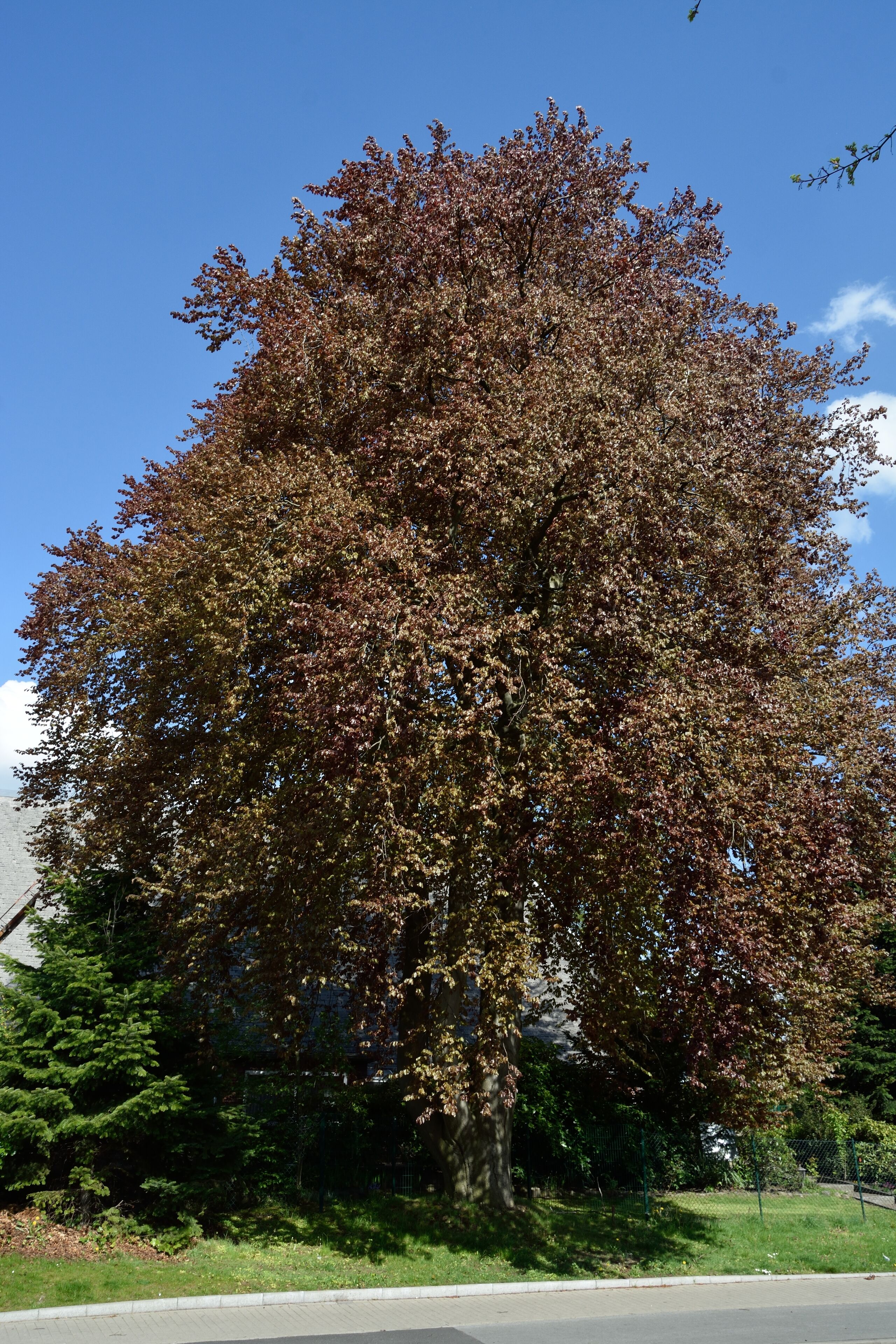 This image was uploaded as part of Wiki Loves Earth 2015.