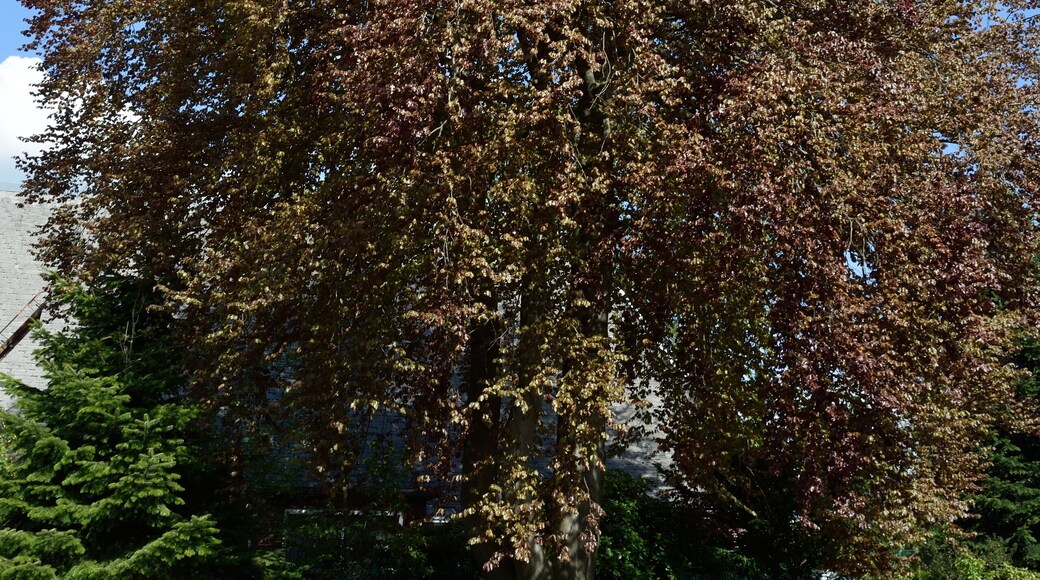 This image was uploaded as part of Wiki Loves Earth 2015.