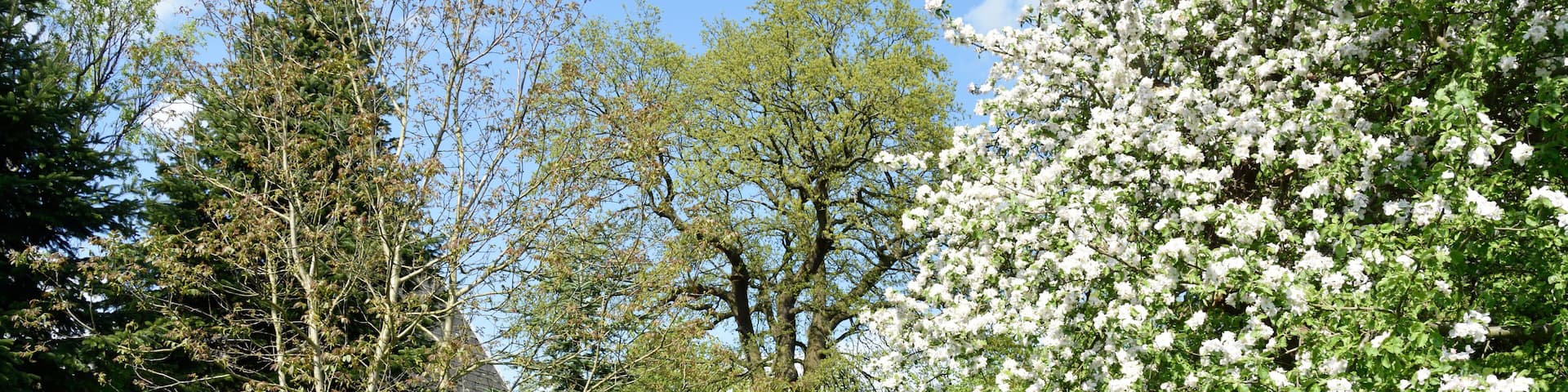 This image was uploaded as part of Wiki Loves Earth 2015.