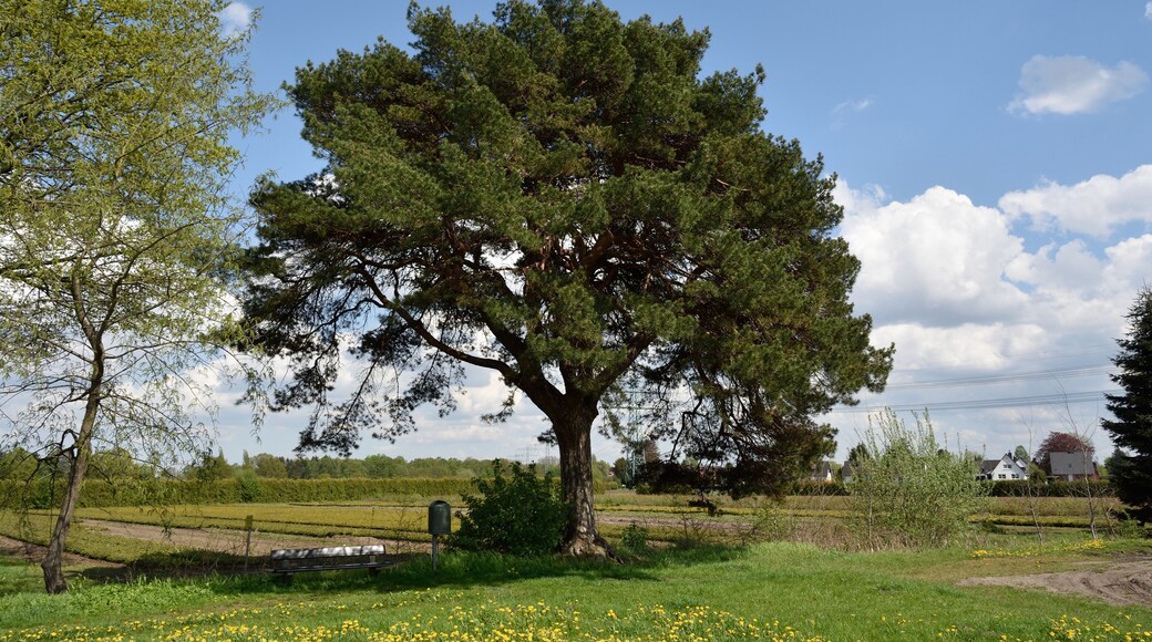 This image was uploaded as part of Wiki Loves Earth 2015.