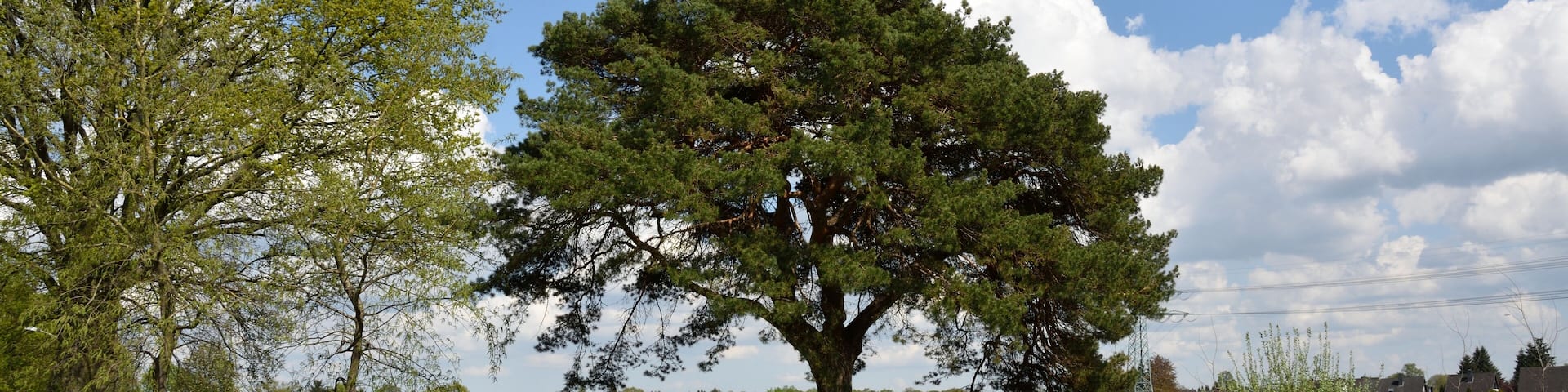 This image was uploaded as part of Wiki Loves Earth 2015.