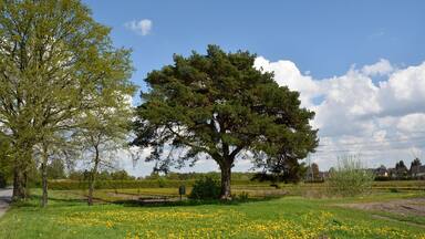 This image was uploaded as part of Wiki Loves Earth 2015.