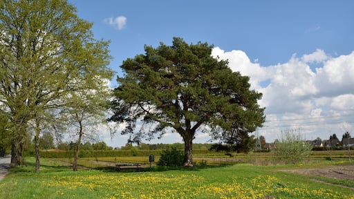 This image was uploaded as part of Wiki Loves Earth 2015.