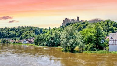 A river with houses on the left and a castle on a hill to the right.