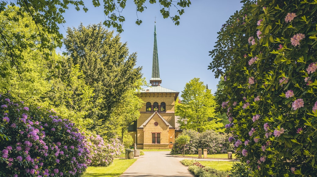 A church with a tall steeple, surrounded by lush greenery and flowering bushes.