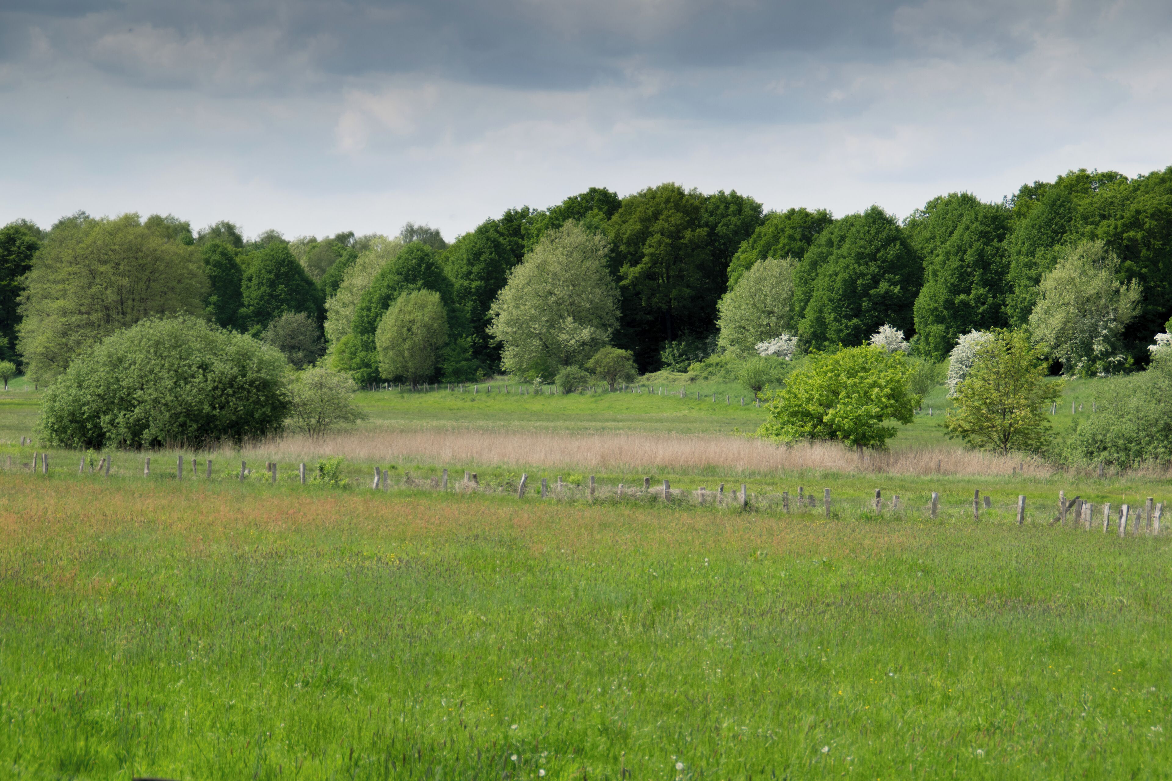 zwischen Gussau und Saselbek