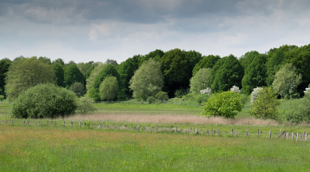 zwischen Gussau und Saselbek
